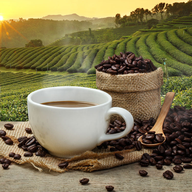 Social Brew - Best Kona Coffee Company in Hawaii, USA